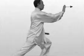 24式太极拳图解说明和要点(一)图片