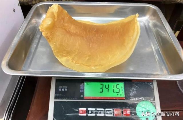 一只花胶一般多少克 2026年一只花胶一般多少克合适