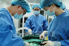真！的！吗？一头猪价值上百万，就在内江——图片