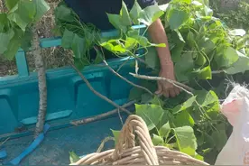 两次阴超检查男医生更温柔，动武的男人心胸狭隘，女医生能胜任吗图片