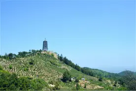 行走河南·读懂中国丨信阳：好山好水生好茶图片