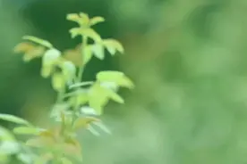 为什么说第一印象很重要，它到底决定了什么？图片