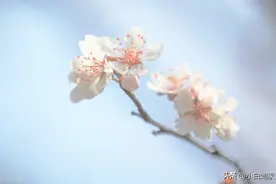 英语动词短语（二）图片