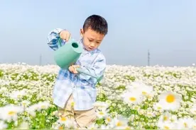 教育的“天花板”是什么图片