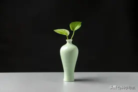一棵绿萝七个鬼，你家里有养绿萝吗？快来看看这些冷知识图片