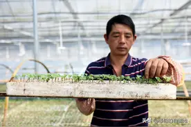 乡村纪实：一个七零后的悲情人生图片