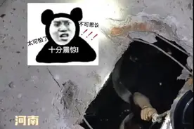 河南信阳：手机掉入旱厕粪坑，男子心急直接跳下去捞......图片