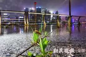 网传外滩长草了？我们连夜去看了看图片