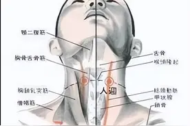 《黄帝内经-灵枢》浅谈寸口脉和人迎脉的病理意义及治法图片