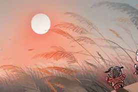 其实我不傻，只是我不说图片
