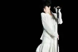 风入襟怀只自知----王菲的女性之光图片