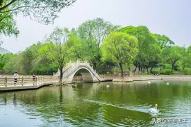 五一假期去哪儿玩？石家庄动物园，亲子研学的好去处，此时春意浓图片