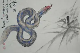 蛇为什么叫人害怕，即便是属蛇的人也害怕蛇图片