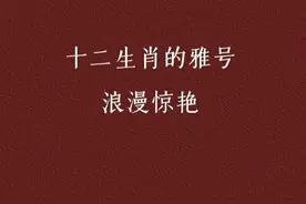 十二生肖雅号 浪漫惊艳图片