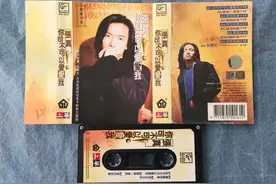 消失的歌手-张真图片