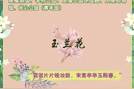 「长图」花开时节，在锦绣太原寻找醉美春色图片