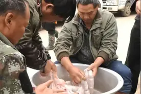 云南年味：文山壮家血灌肠图片