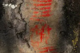 1万年前中国东北人定居热带南美洲大陆，带回菠萝，刻画“甫”字图片