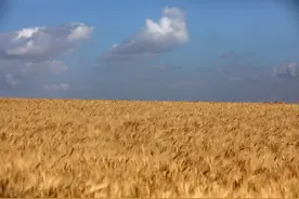 什么才是人生的真正驱动力？图片