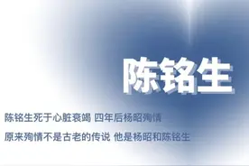 《那个不为人知的故事》陈铭生和杨昭 作者：Twentine图片