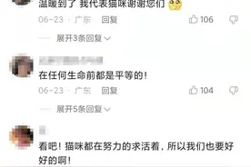 那个在洪水中救猫的消防员，该被骂吗？图片