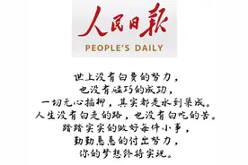 人民日报金句摘抄—踏踏实实做事，勤勤恳恳付出图片