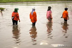 雨后蹚水走路，小心“烂脚”！建议这样做图片