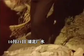 82岁老人凌晨走10多里去卖菜，小伙遇到全部买下，菜价100多直接给200图片