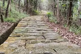 人生趣事一一做梦图片