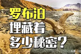 罗布泊究竟有多恐怖？号称“死亡之海”，埋藏着史上最诡异的悬案图片