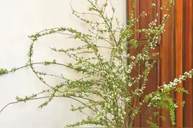 真正有能力的人有哪些特征图片