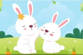 絮嘴子为何是兔？图片