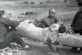 1942年的那场河南大饥荒究竟是怎样的场景图片