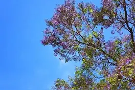 生活中的20个小窍门，省心省力图片