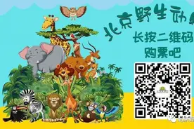 北京野生动物园小火车和自驾车游览时间调整图片