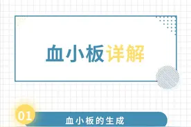 健康丨一文读懂血小板的作用及减少原因图片