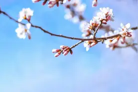 数字遇上诗，绝了图片
