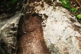 池州齐山景区惊现地质奇观——大脚印图片