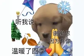 谷歌AI看不懂网友评论，会错意高达30%，网友：你不懂我的梗图片