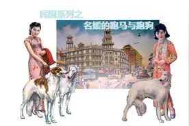 名媛的跑马与跑狗图片