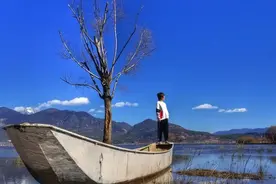 一头蒙眼拉磨的驴子图片