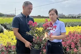 丹阳农商银行陵口支行做好金融“活水”的精准滴灌图片