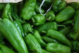 青椒可以直接冷冻吗？冷冻青椒的正确方法图片