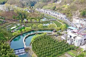 航拍安康丨阳春三月游白河 唇齿留香“春燕”茶图片