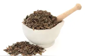 两种常见的清热解毒药，鱼腥草和蒲公英，谁的“消炎”功效更大？图片