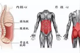 什么是核心力量？如何练习？图片