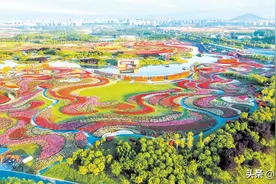 南阳“赏花攻略”｜花已开好 春风遥寄“踏青函”图片