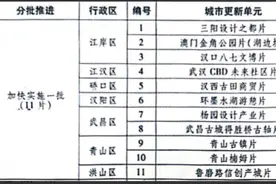 你可能不知道：武汉城市更新单元内的重点项目图片