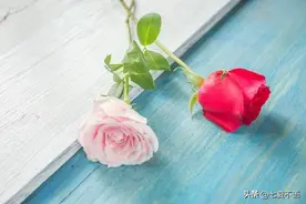 岳母卖房给儿子买婚房，要搬去女儿家养老，女婿怒掀桌：门都没有图片