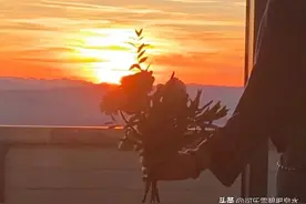 冷酷刑警X小狐狸甜妹图片
